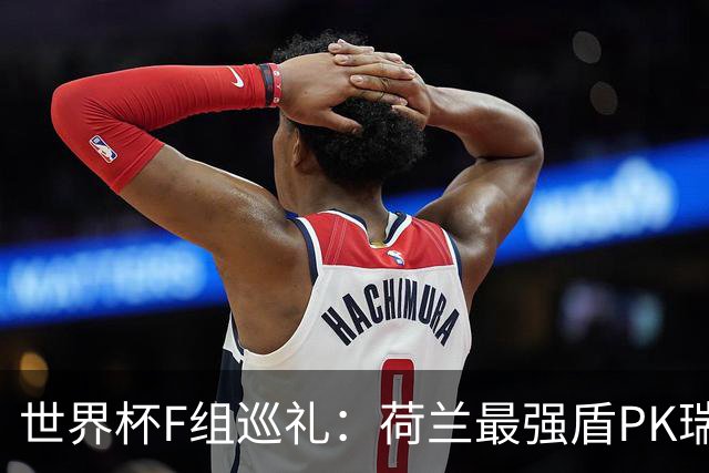 世界杯F组巡礼：荷兰最强盾PK瑞典犀利刀 日本短板明显
